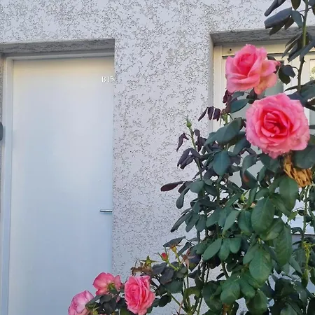 Corse Bord De Сasa de vacaciones *