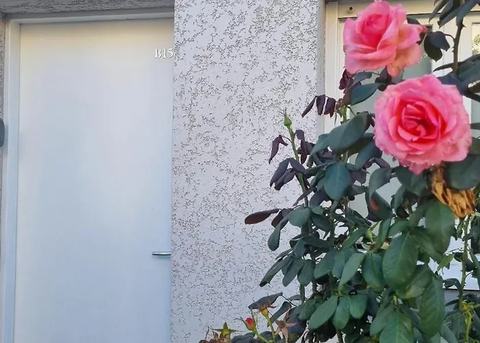 Corse Bord De Tatil Evi *